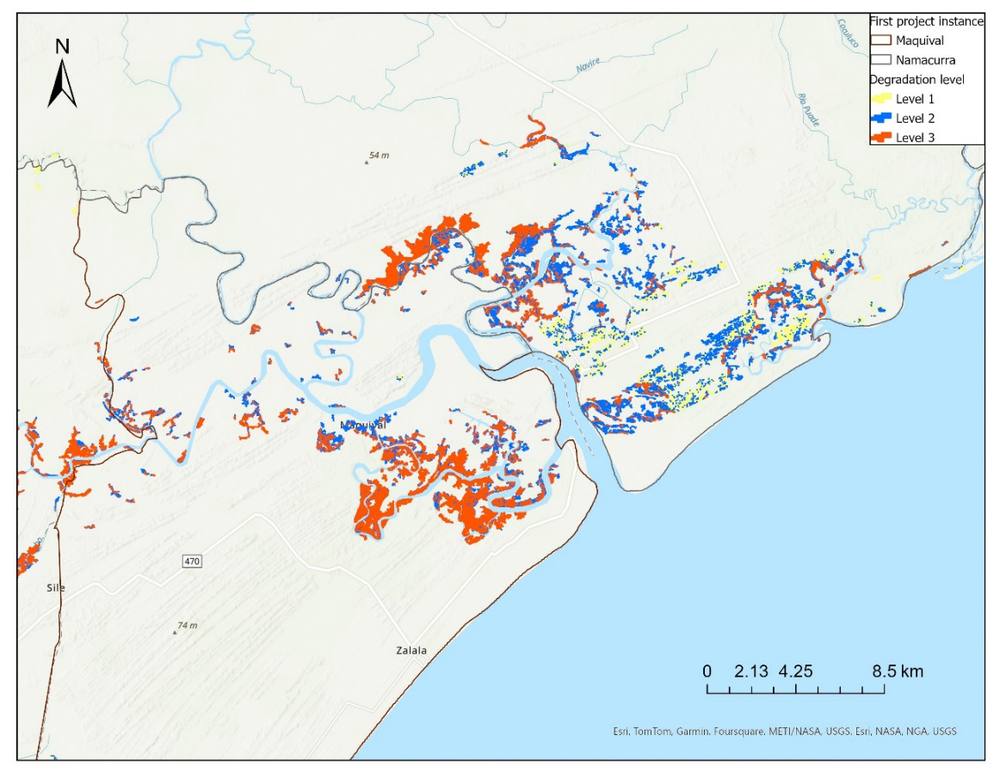 SAVI stratification into three degradation levels around Maquival and Namacurra.