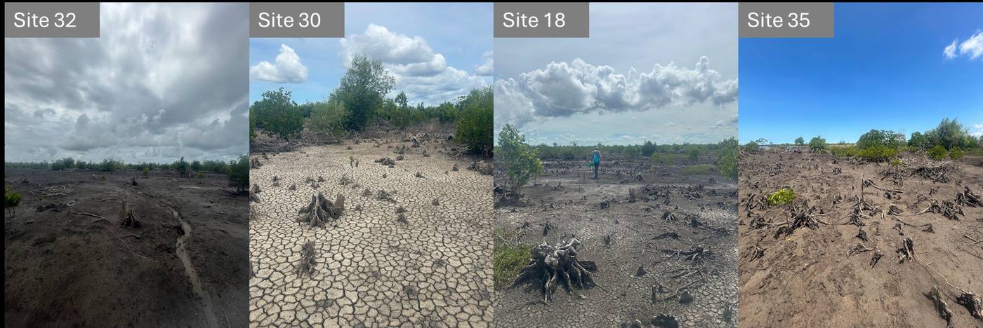 Quelimane baseline field campaign, March 2024: sites 32, 30, 18 and 35.