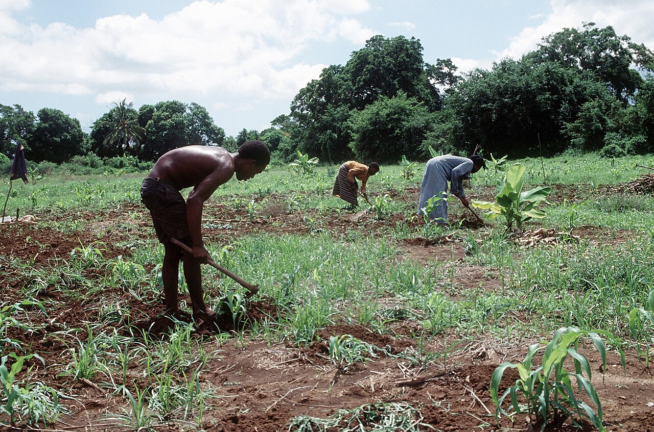 Somalia farmers2. Location context only; not a photograph of project implementation.