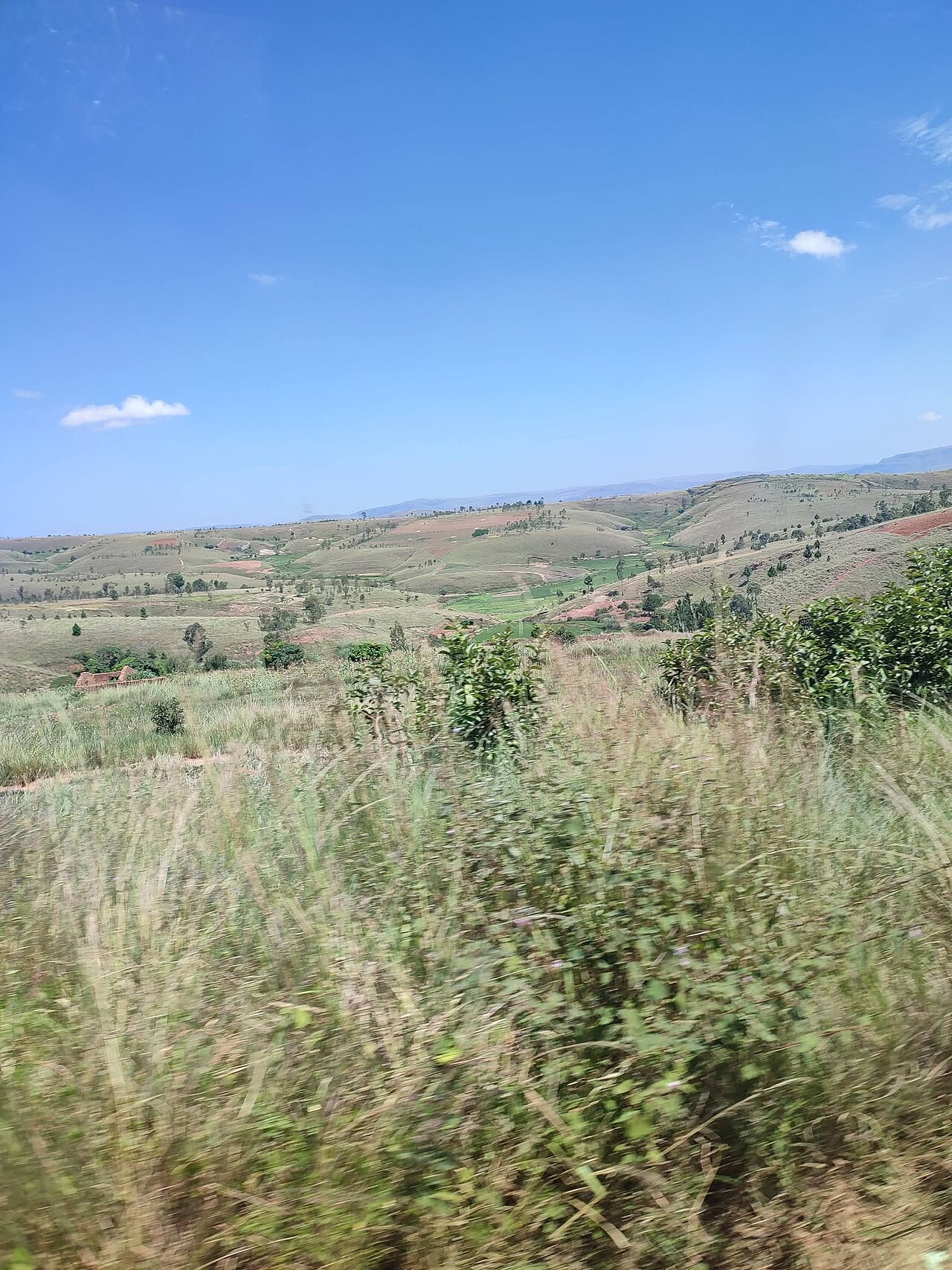 Panoramic view of the grassy hills and typical rural landscape near Ankazobe, in the Analamanga region of Madagascar. Geographic context.