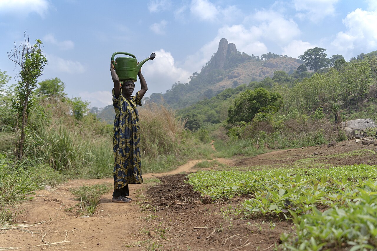 Woman with watering can, Dent de Man