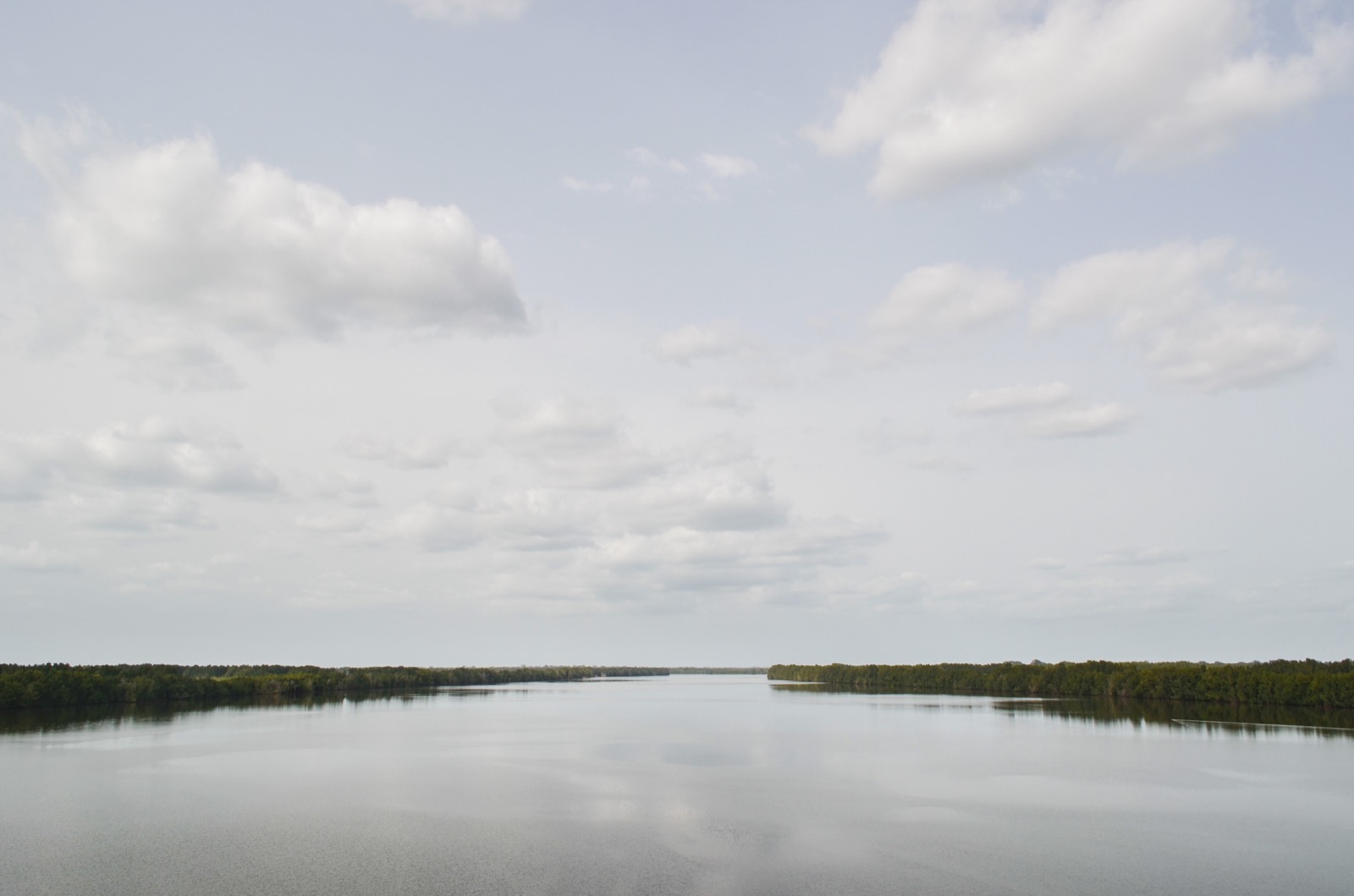 The Rio Farim-Cacheu estuary near Cacheu Mangroves Natural Park, Guinea-Bissau