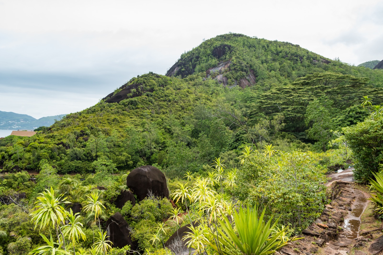Coastal granite-island scenery along the Anse Major trail, Mahé, Seychelles