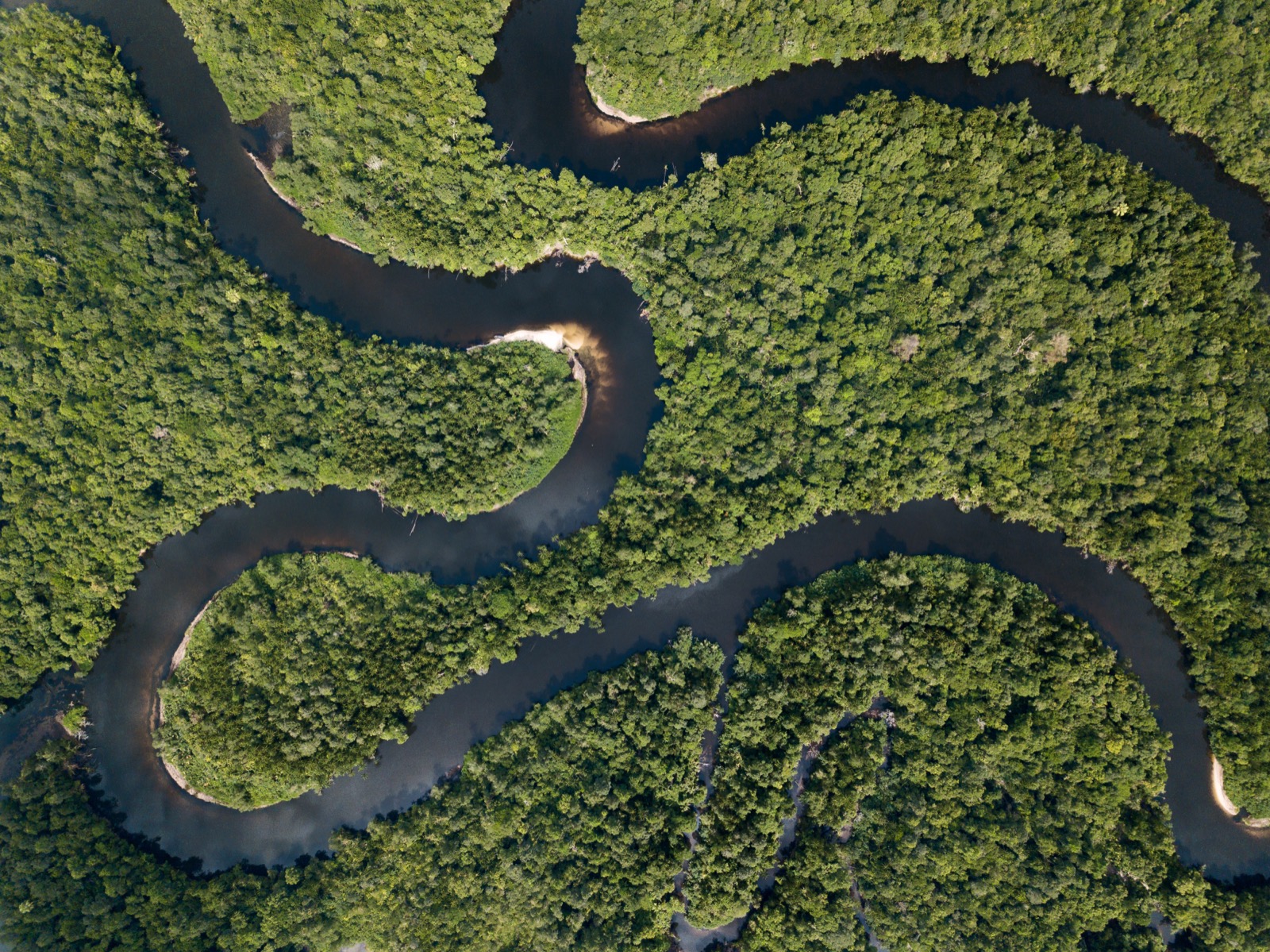 Aerial view of forested ridges in the Cardamom Mountains, Cambodia